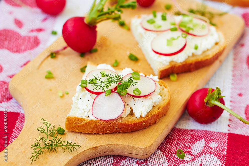 Sandwich with cottage cheese and radish