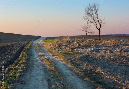 Sandy rural road and plowed fields