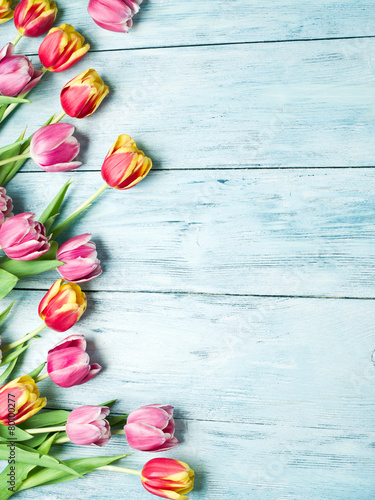 Pink and red tulips on a wooden background. #80100277