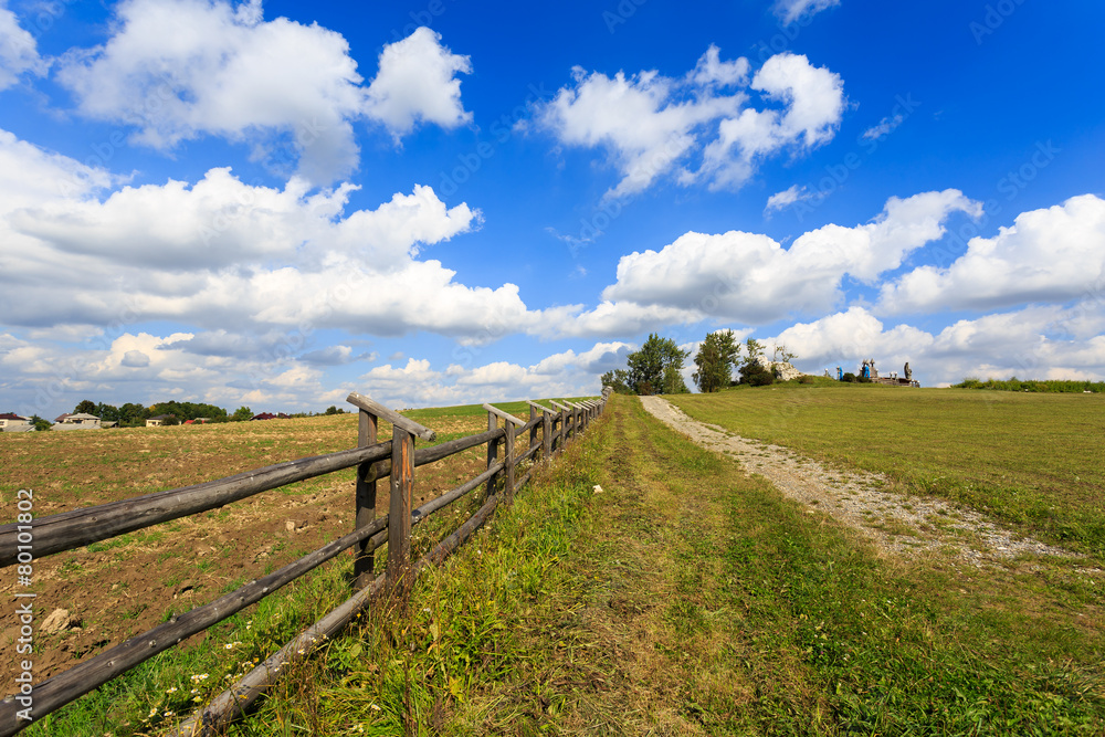Wooden fence on green field in summer landscape of Poland