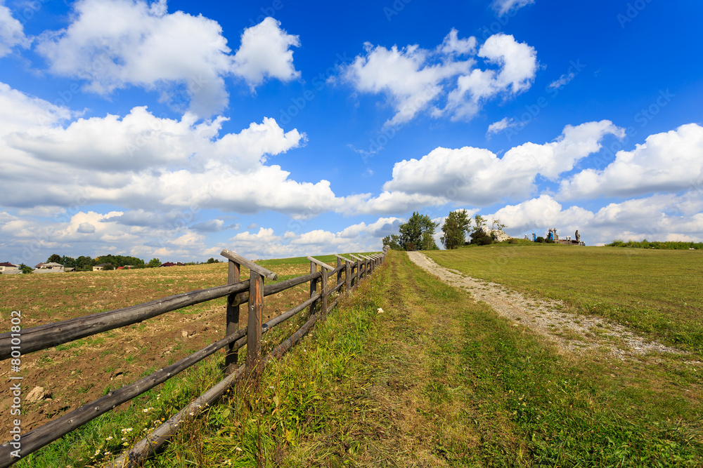 Wooden fence on green field in summer landscape of Poland Wooden fence on green field in summer landscape of Poland