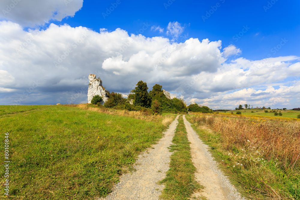 Rural road in summer landscape of Poland near Krakow