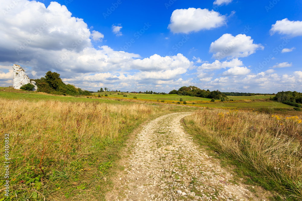 Rural road in summer landscape of Poland near Krakow