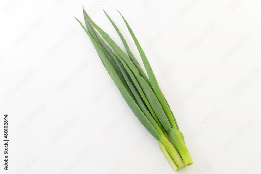 新鮮な野菜 新鮮な野菜