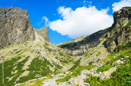 Summer landscape of Tatra Mountains in 5 lakes valley, Slovakia