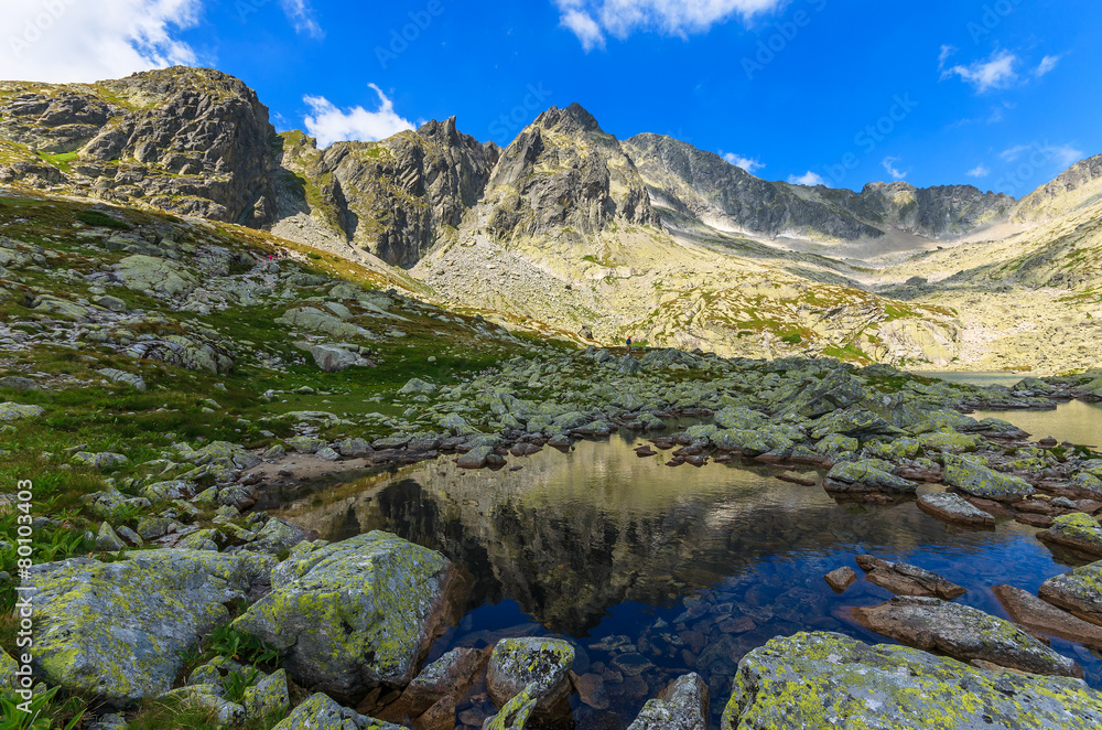Stones in alpine lake in summer, Tatra Mountains, Slovakia