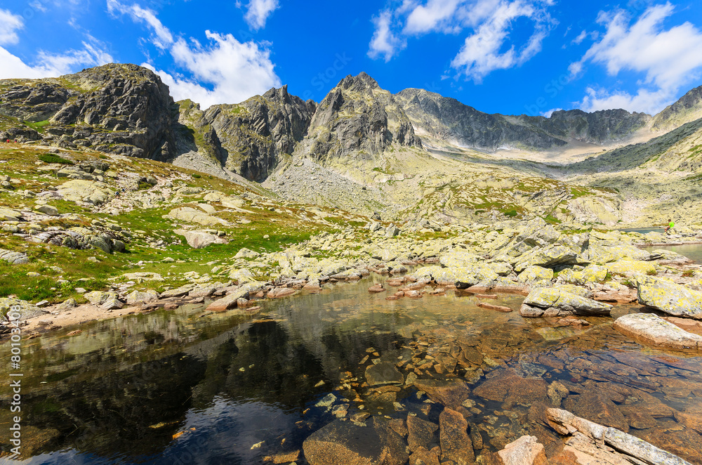 Stones in alpine lake in summer, Tatra Mountains, Slovakia