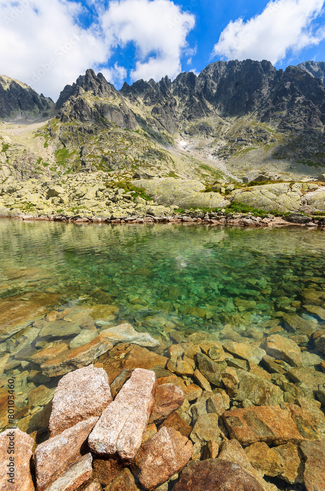 Fototapeta Stones in alpine lake in summer, Tatra Mountains, Slovakia