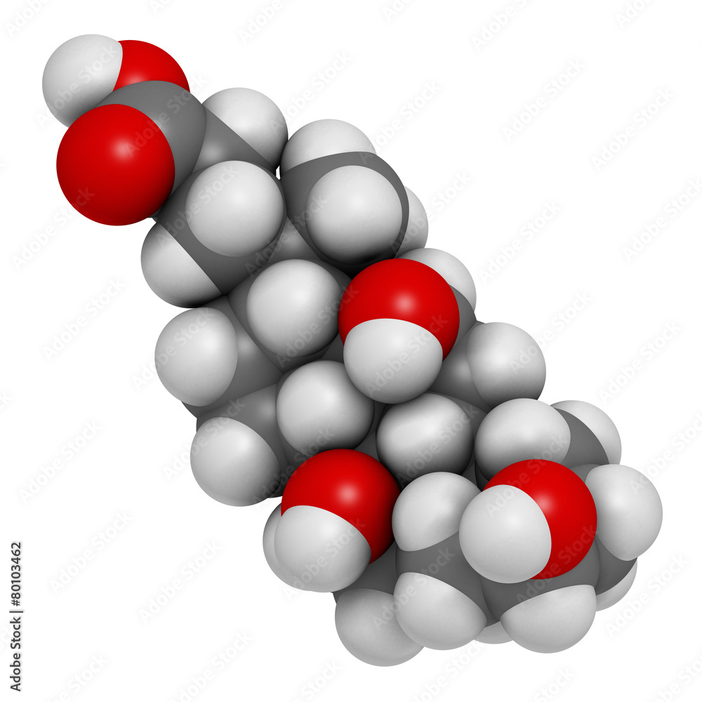 Bile acid (cholic acid, cholate) molecule. Bile acid (cholic acid, cholate) molecule.