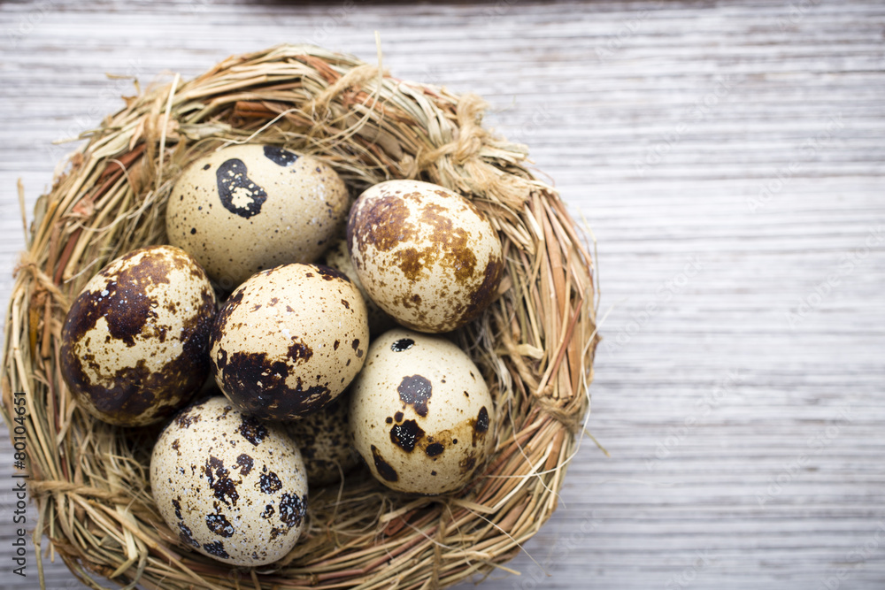 Quail eggs. Easter greeting card. Quail eggs. Easter greeting card.