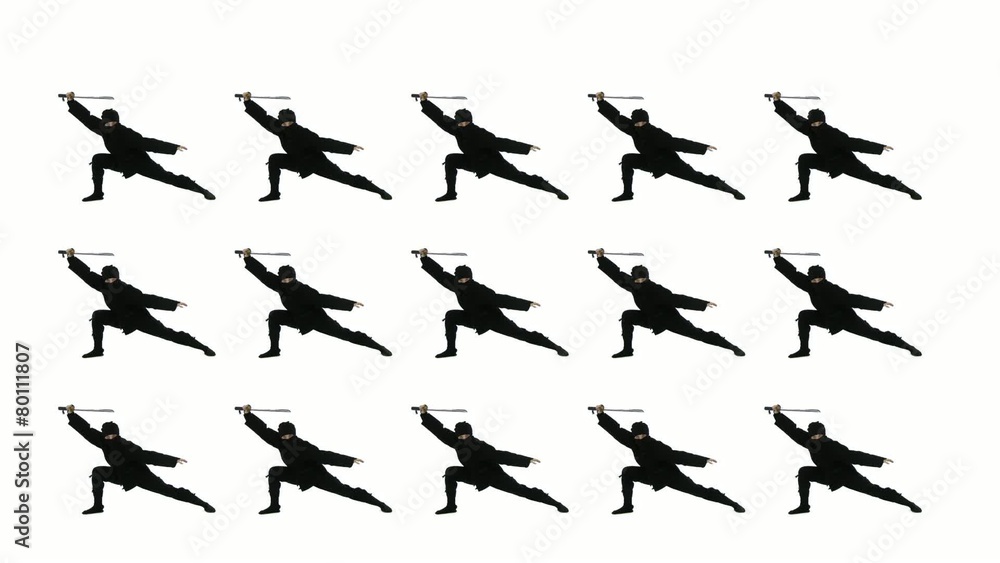 Masked ninjas draw swords and strike a dramatic pose. Looping clip with white background. Masked ninjas draw swords and strike a dramatic pose. Looping clip with white background.