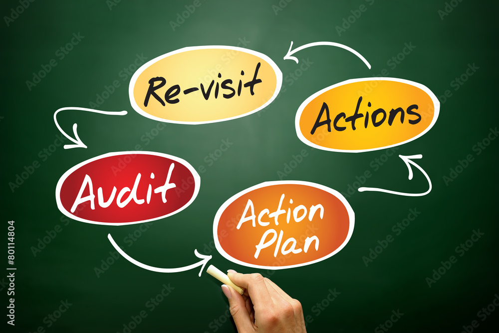 Four steps of the audit process in order to audit a company