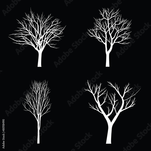 Trees with dead branch