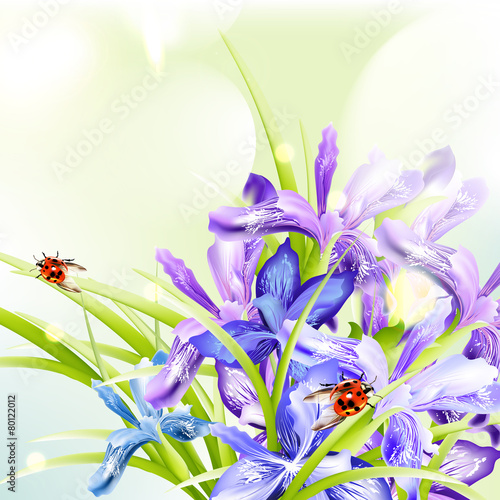 Beautiful spring background with iris flowers