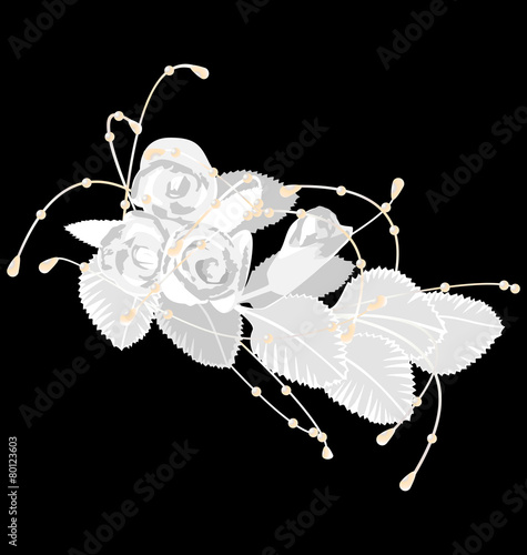White roses isolated on black background
