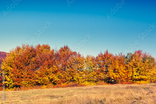 Fototapeta Naklejka Na Ścianę i Meble -  colored autumn mountains