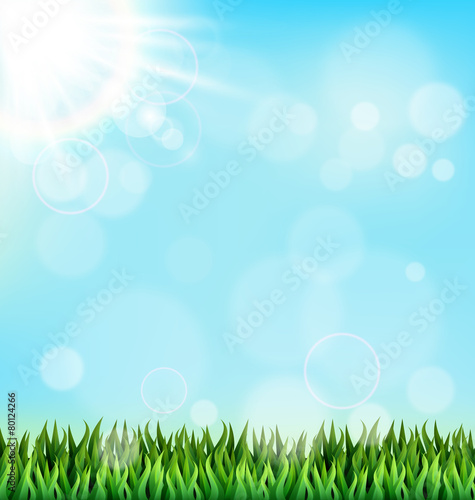 Green grass lawn with sunlight on blue sky. Floral nature spring