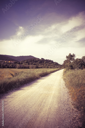 Pathway in Tuscany countryside (Italy) - toned image