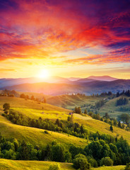 Fototapete Jahreszeiten Sonnige Berglandschaft im Sommer  © Leonid Tit