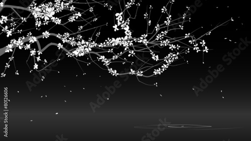 Horizontal black and white illustration drawing of blossoming tr