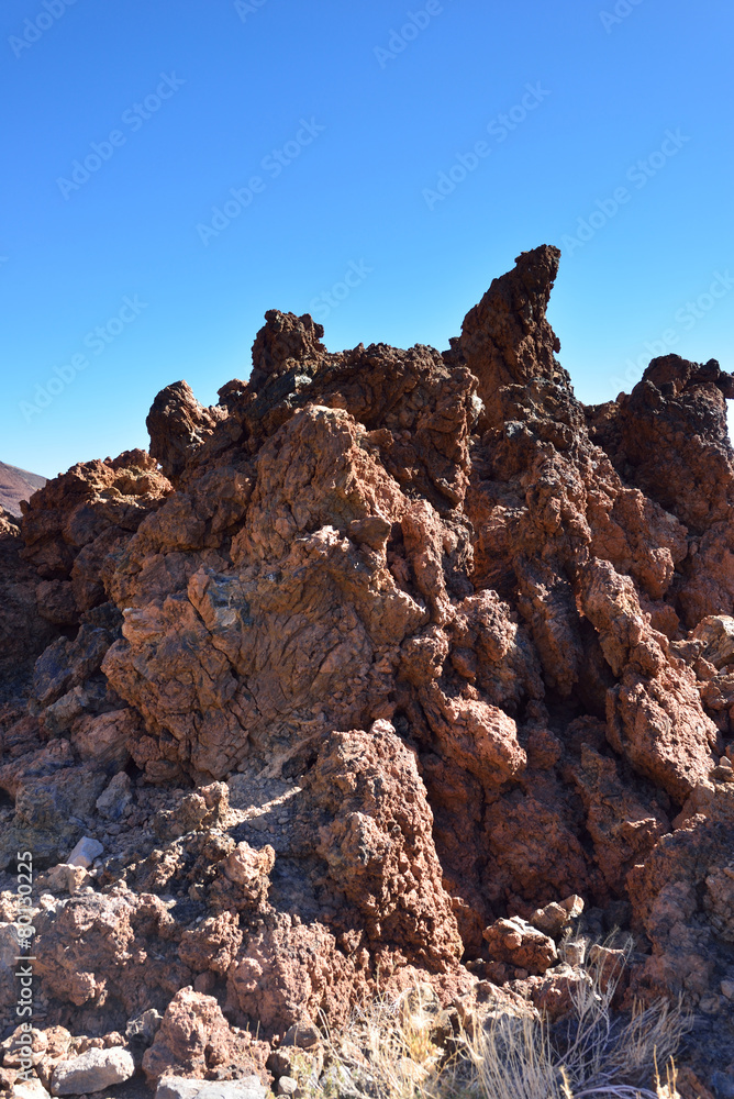 Fototapeta premium lave