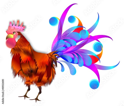 gallo