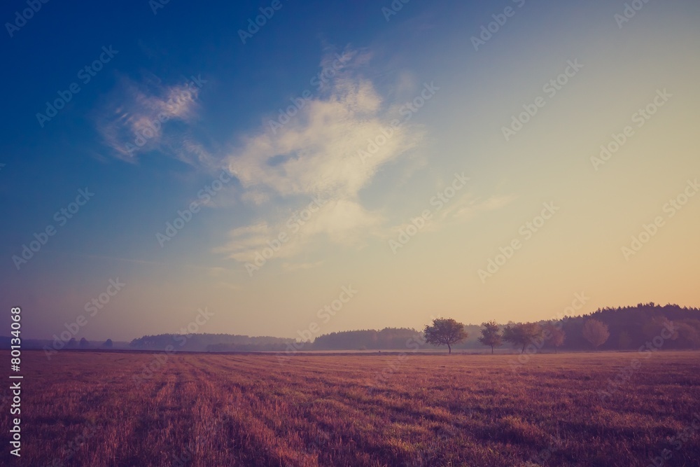 Vintage photo of morning foggy meadow in summer. Rural landscape