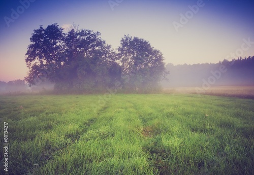 Vintage photo of morning foggy meadow in summer. Rural landscape