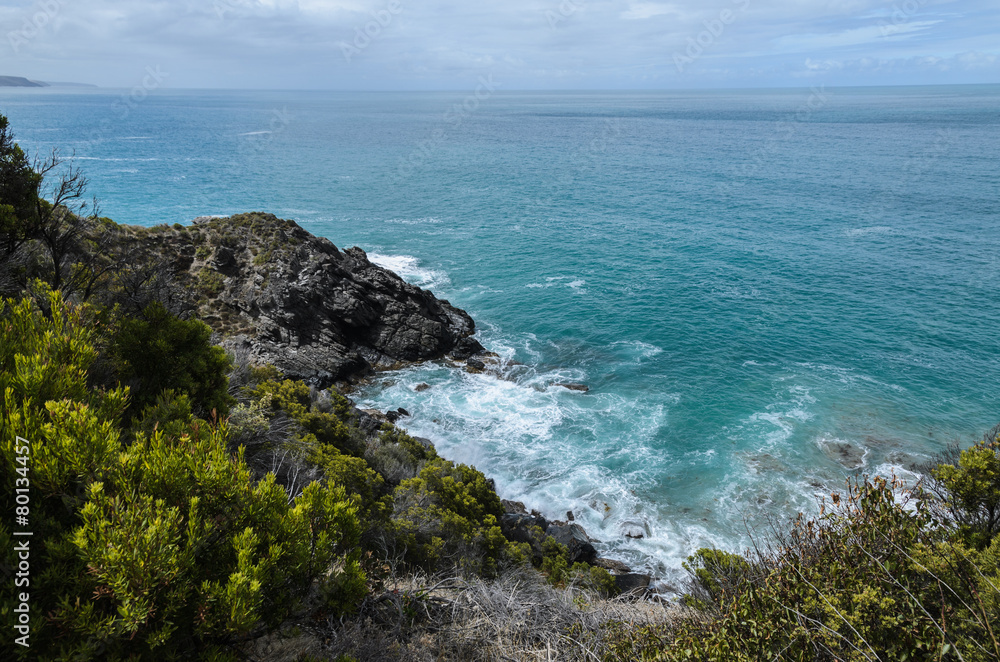 Fototapeta premium Cliffside Coastline wtih bushes around