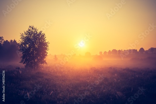 Vintage photo of morning foggy meadow in summer. Rural landscape © milosz_g
