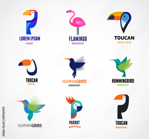 Tropical birds - set of vector icons