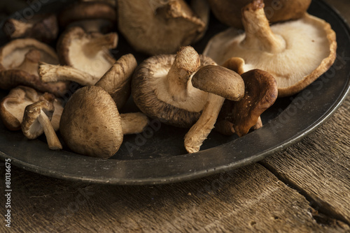 Fresh shiitake mushrooms in moody natural light setting with vin