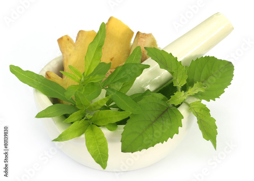 Medicinal herbs on mortar with pestle photo