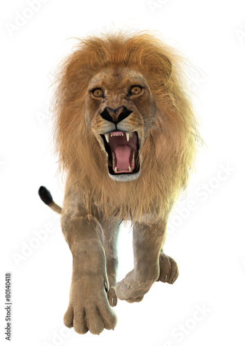 Fototapeta Naklejka Na Ścianę i Meble -  Lion