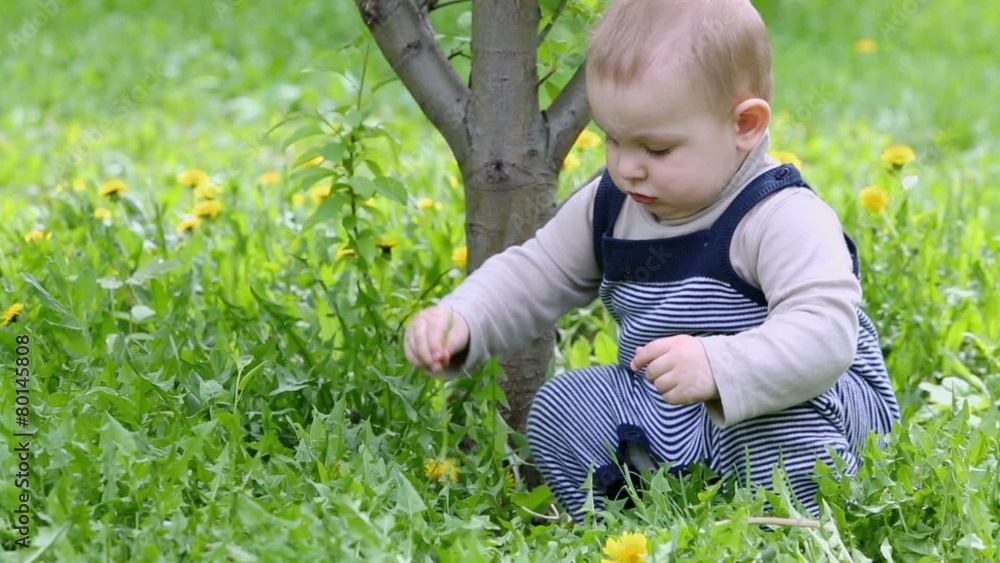 Little boy sits on grass and plays with dandelion at sunny day Little boy sits on grass and plays with dandelion at sunny day