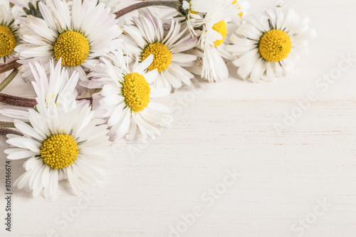 daisy flowers on wooden surface