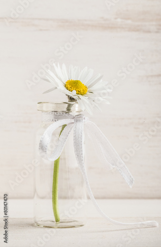 Fototapeta Naklejka Na Ścianę i Meble -  daisy in a small vase