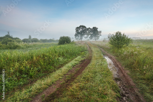 June morning