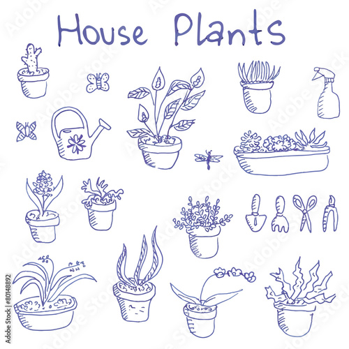 Big set of  liner pen hand drawn sketchy housplants and tools