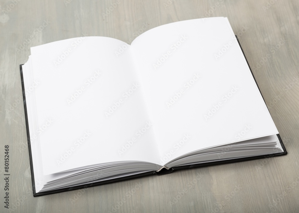 Blank. Open magazine with blank pages Blank. Open magazine with blank pages