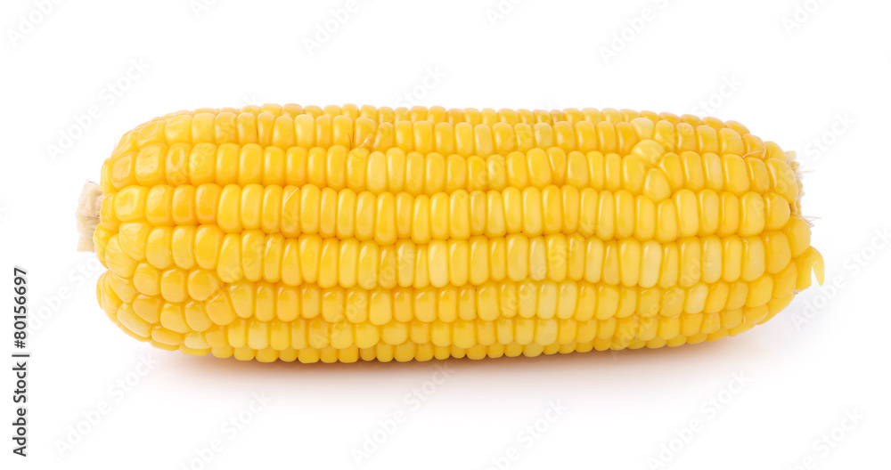 Corn isolated on a white background Corn isolated on a white background