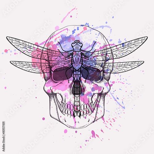 Vector grunge illustration of human skull and dragonfly with watercolor splash