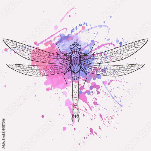 Vector illustration of dragonfly with watercolor splash