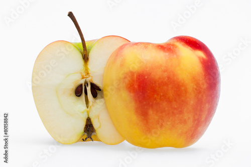 Apple (in Cross Section)