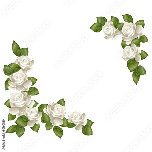 Cartolina rose bianche
