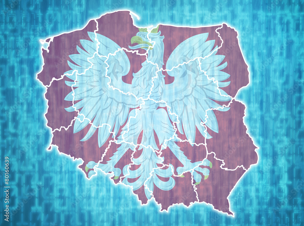 Naklejka premium poland administrative divisions