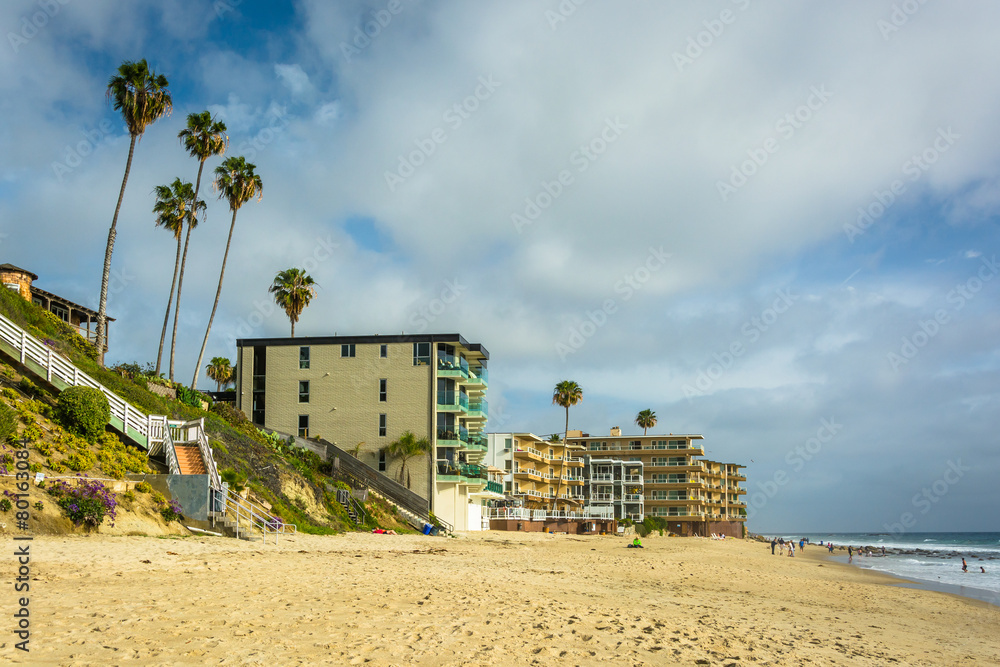 Buildings and palm trees along the beach in Laguna Beach, Califo