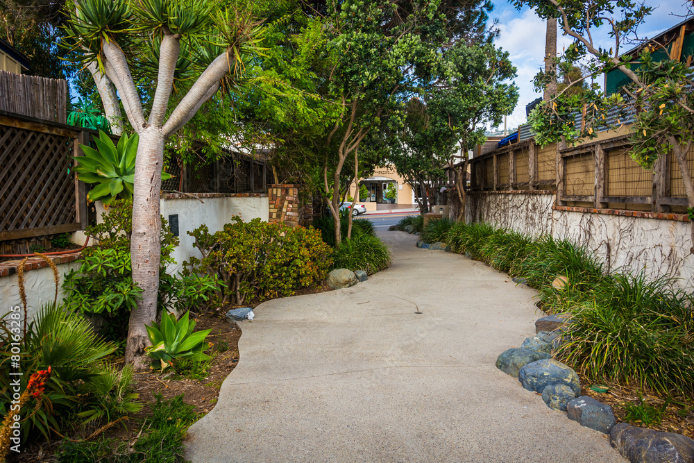 Gardens along a walkway in Laguna Beach, California.