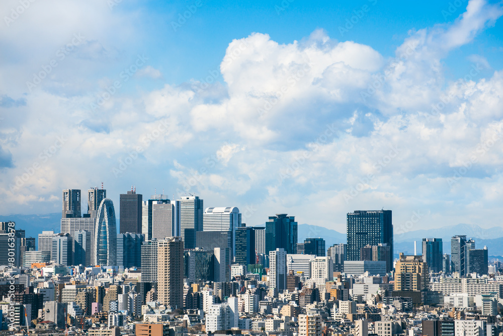 Obraz premium 東京の眺め