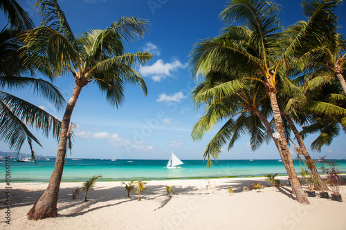 Tropical beach with beautiful palms and white sand © Maygutyak